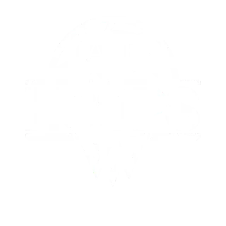 ACE Hoops